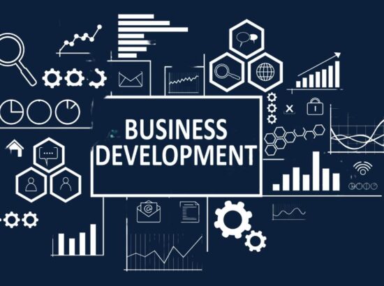 Best Strategies in Organizational Design and Development