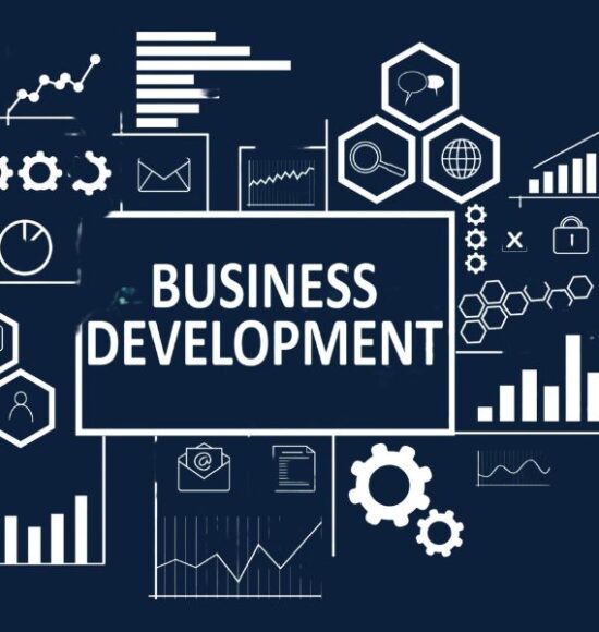 Best Strategies in Organizational Design and Development
